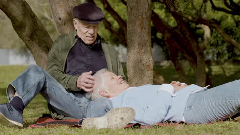 white haired smiling elderly man stroking his wife's hair while sitting on blanket and relaxing in park on sunny autumn day