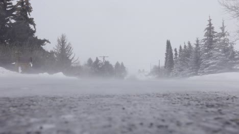 snow dances on the concrete road during a snow storm blizzard