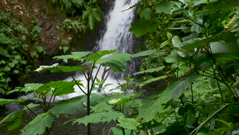 Waterfall-in-Forest-in-Costa-Rica