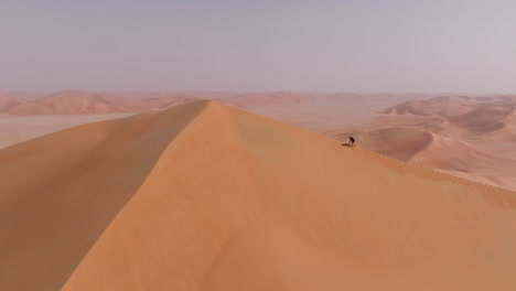 a person walking along the highest dune in oman’s empty quarter desert under the summer sun