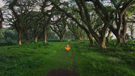 Mujer-Rubia-Con-Vestido-De-Gasa-Naranja-Corriendo-Por-El-Bosque-Mágico-De-Djawatan