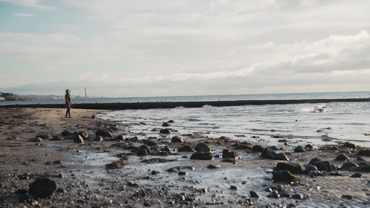 Black labrador dog playing fetch with owner at beach, slow motion