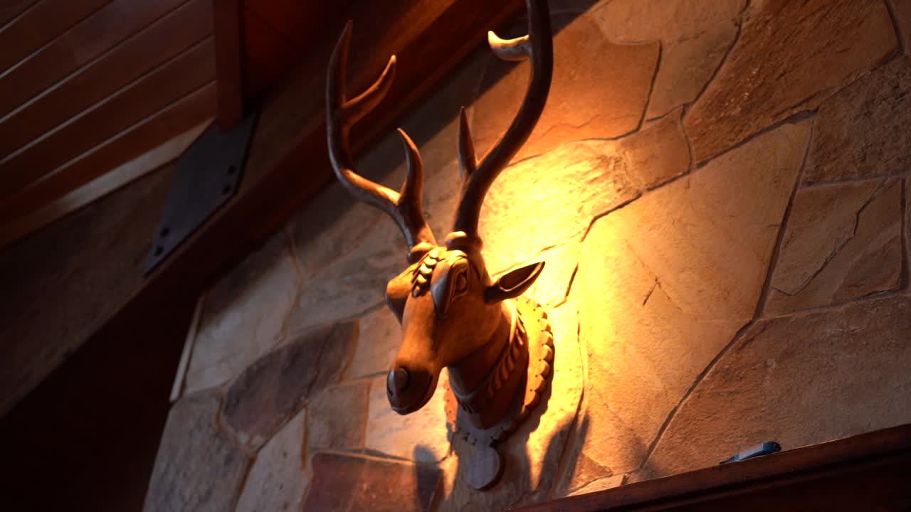 Deer Head decoration on wall