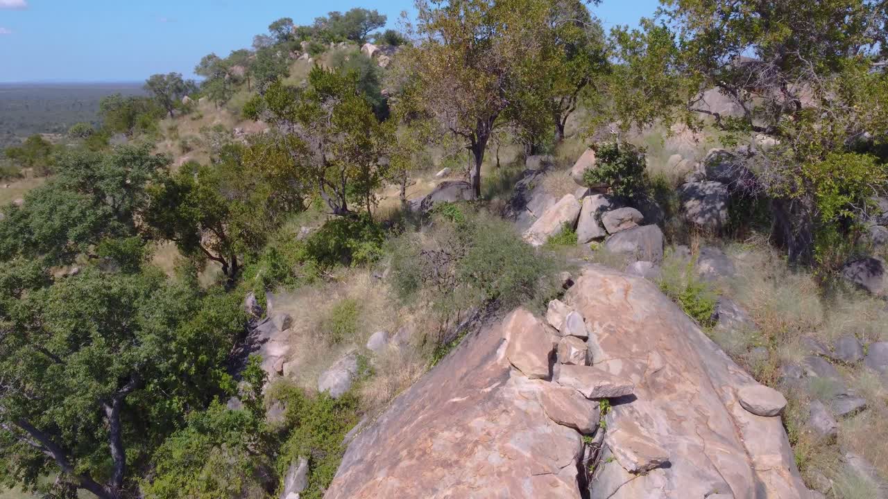 валуны и деревья на склоне пустой горы в южной африке