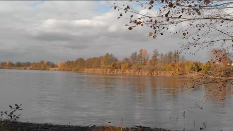 a-drone-flies-slowly-and-low-past-a-tree-and-continues-to-fly-over-the-lake