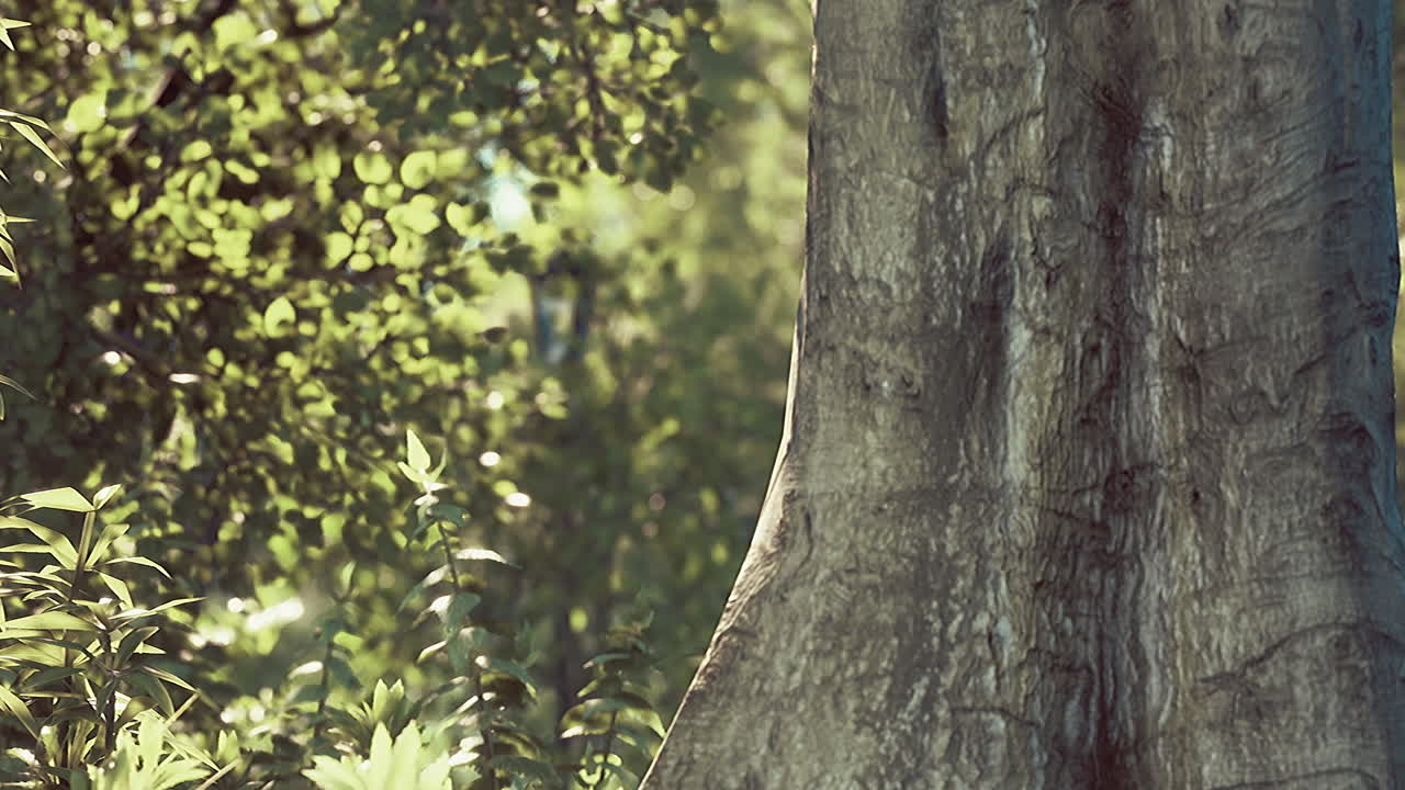 césped verde con gran patio al sol de la mañana