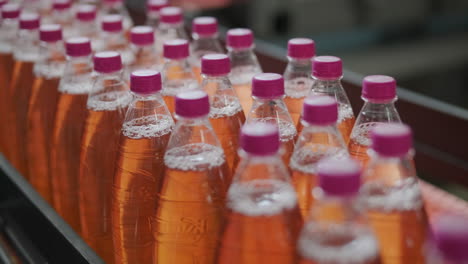 bottles on a production line