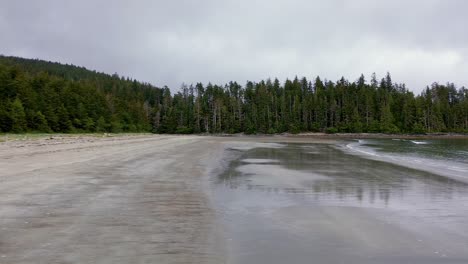 aerial view over grey bay beach sand with side tracking shot, bc, canada