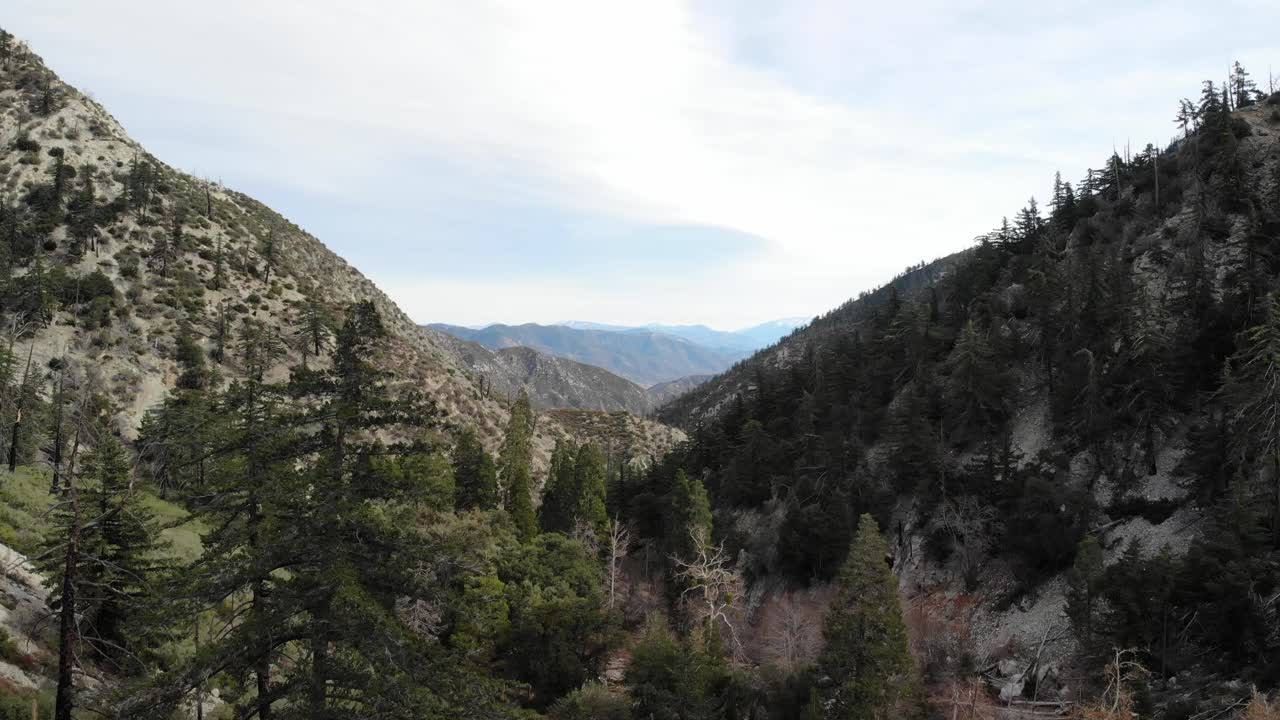 drone aéreo disparado a través de árboles verdes y cañones en las montañas de san gabriel del sur de california