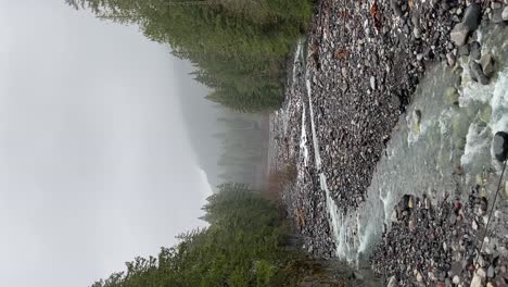hiking through the forest where there is a lake