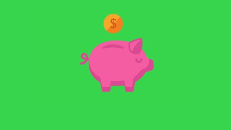 piggy bank being filled with golden coins. money saving, banking and investment concept.green screen.