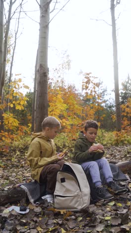 kids sitting on a dead tree