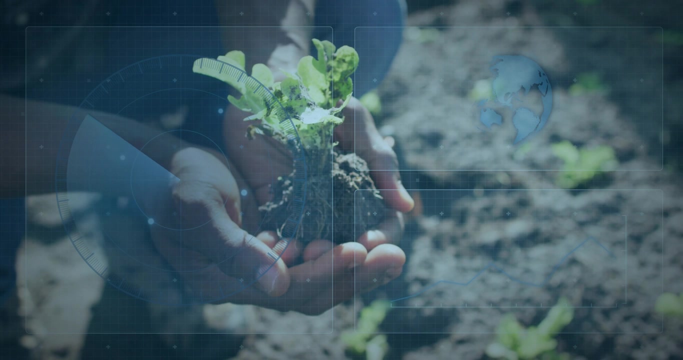 Closeup initiating HUD grid gauge globe, man kneeling holding seedling rotating roots for gardening