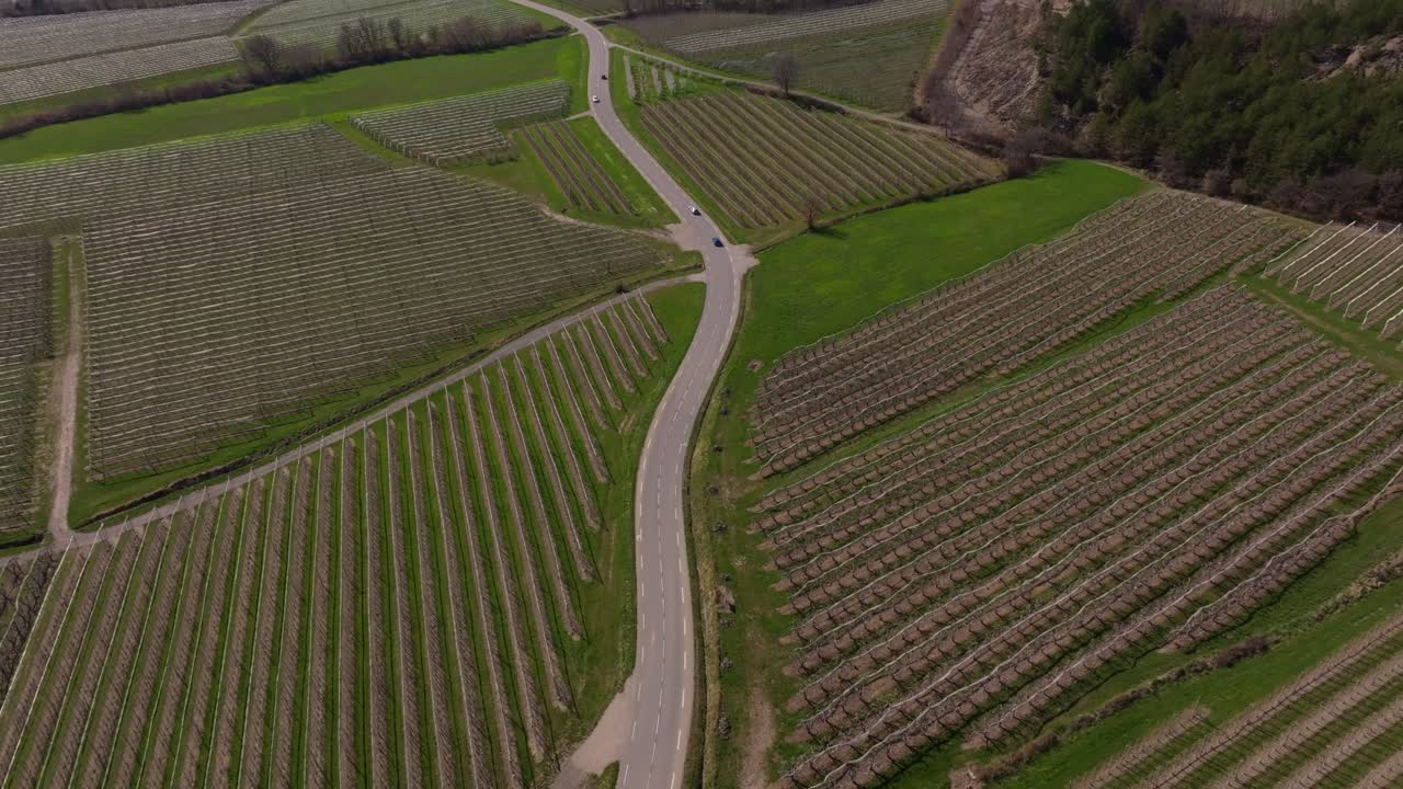Frutteto in fiore si estende sotto un drone nella Francia rurale