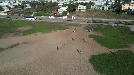 Eine-Gruppe-Von-Leuten,-Die-An-Einem-Strand-Cricket-Spielen