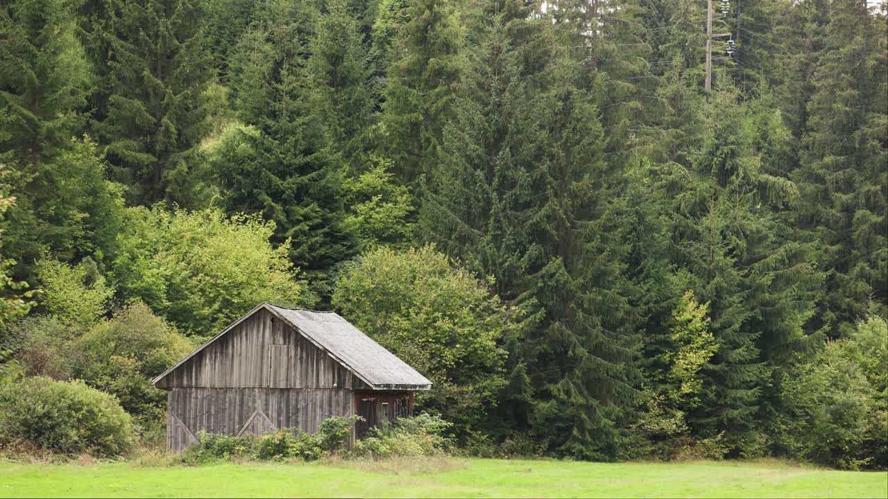antigua casa de madera en el campo con un denso bosque al fondo