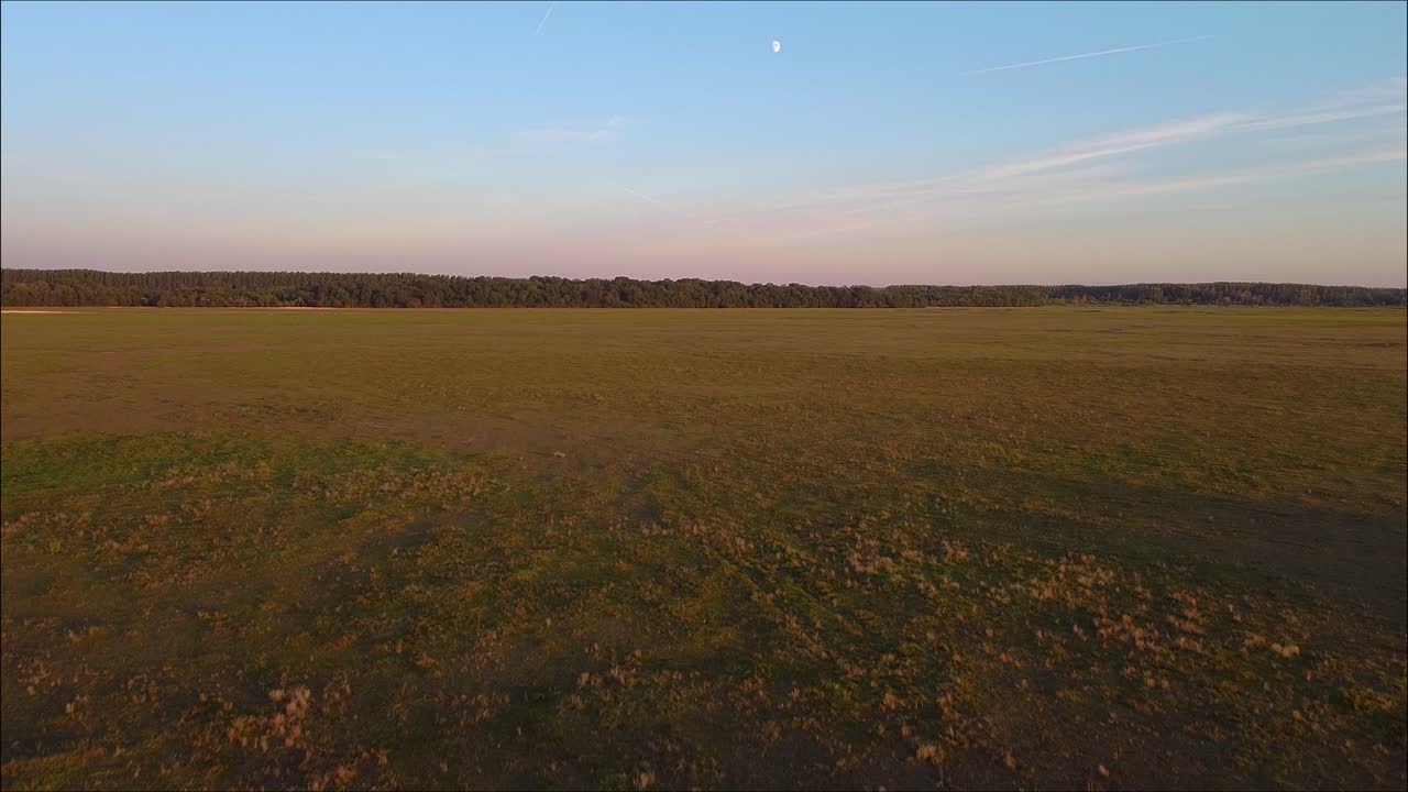 Drone flyver mod træer på den ungarske store slette med halvmånen i billedet