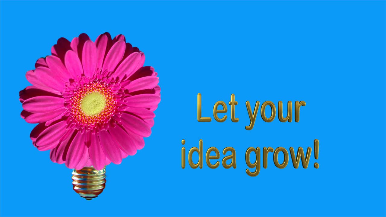 꽃으로 성장하는 전구, 텍스트, 당신의 아이디어가 성장하도록, 차원 16:9 mp4, 4k