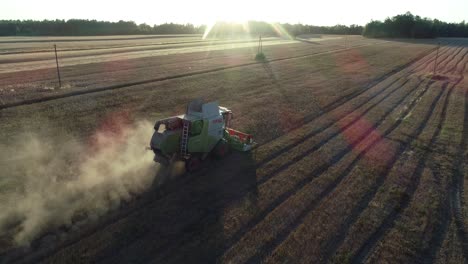 Luftaufnahme-Der-Erntemaschine-In-Einem-Lupinenfeld-Während-Der-Erntezeit-Bei-Sonnenuntergang-Goldene-Stunden-Szenische-Zeitlupe