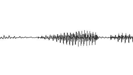 an audio visualization effect using black lines and on a white background