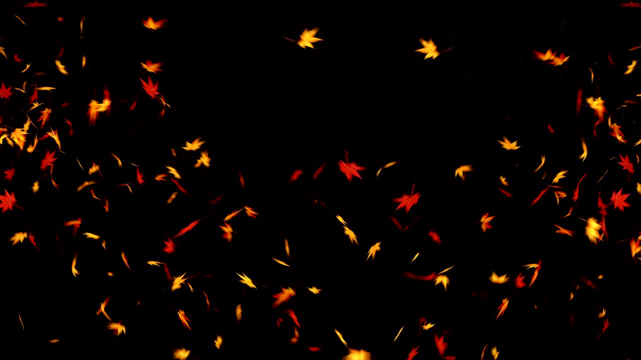 검은 바탕에 떨어지는 가을 잎, 메이플 잎, 루프 글리터 애니메이션