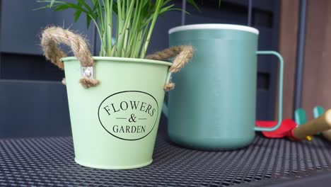garden tools and potted plant