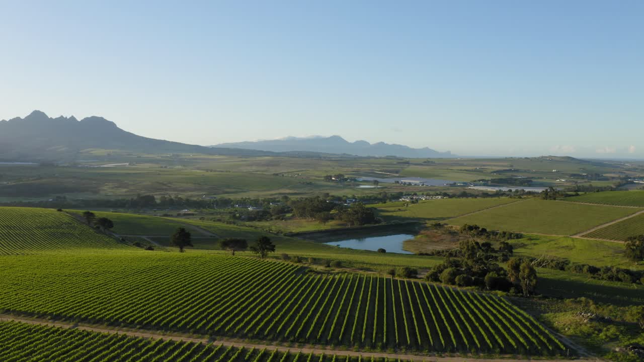 viñedos aéreos y estanque de presa al amanecer, montañas en el fondo del paisaje agrícola en el campo, stellenbosch, ciudad del cabo