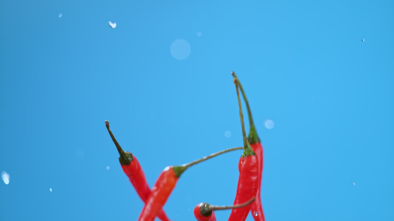 Red Chili Peppers Splashing in Water Against a Blue Background