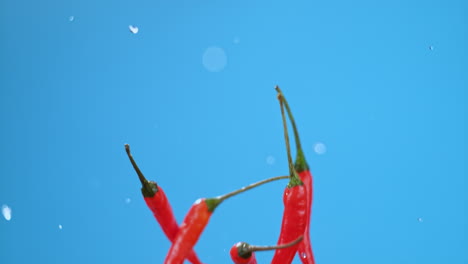 red chili peppers splashing in water against a blue background