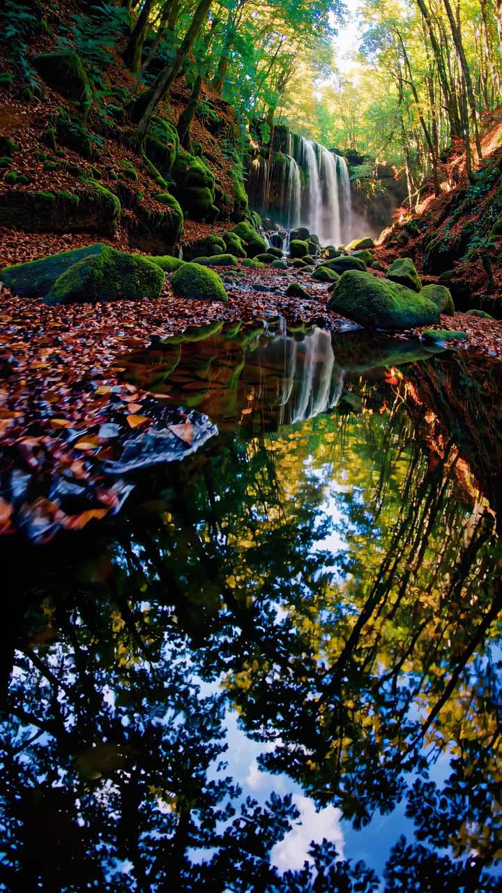 Scena di foresta vibrante con vista dal basso di un ruscello muschioso e una cascata, che cattura un'atmosfera serena e rigogliosa
