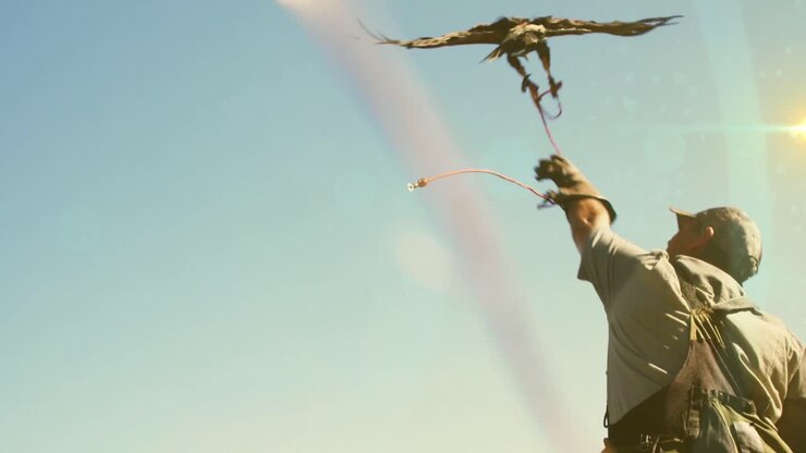 Animazione di punti luce su uccello rapace con uomo caucasico