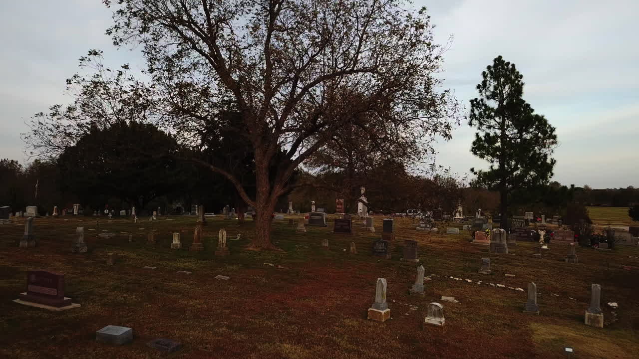 tiro lento hacia un árbol en un cementerio con la luz que se desvanece
