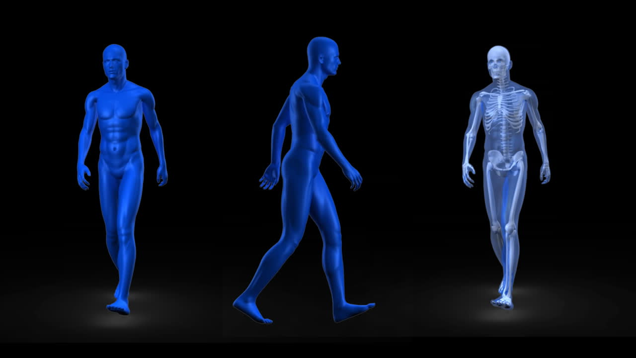 animación de tres figuras humanas azules caminando