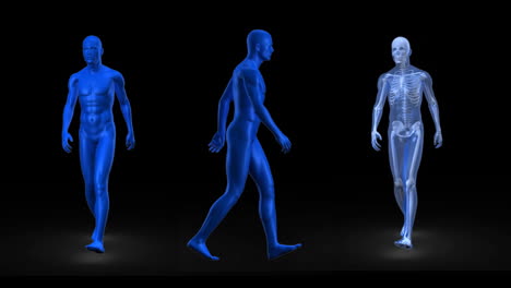 걸어다니는 세 명의 파란색 인간 인물의 애니메이션