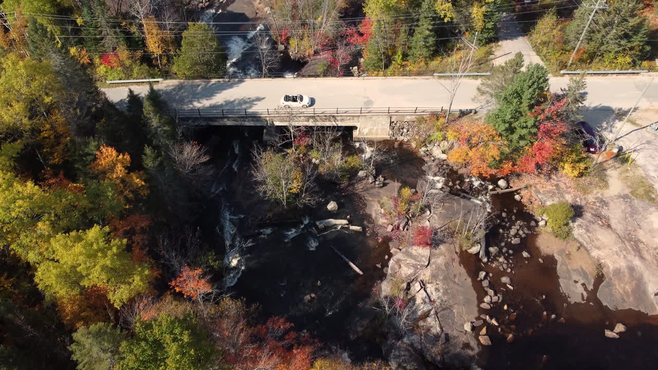 노란색과 주황색 가을 숲에 차가 있는 강 위의 도로와 다리의 공중 전망