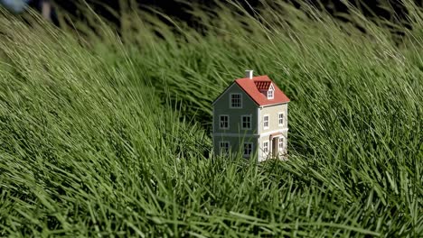 small house model in a grassy field