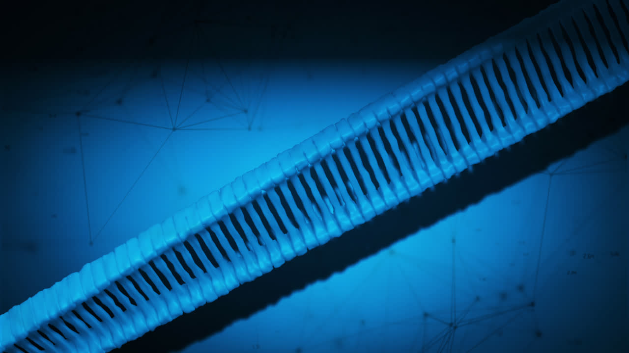 검은색 3d dna 줄이 회전하는 매크로의 애니메이션