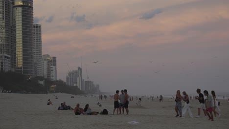group of people friends at the beach relaxing, view of tall buildings gold coast, australia, beautiful sunset