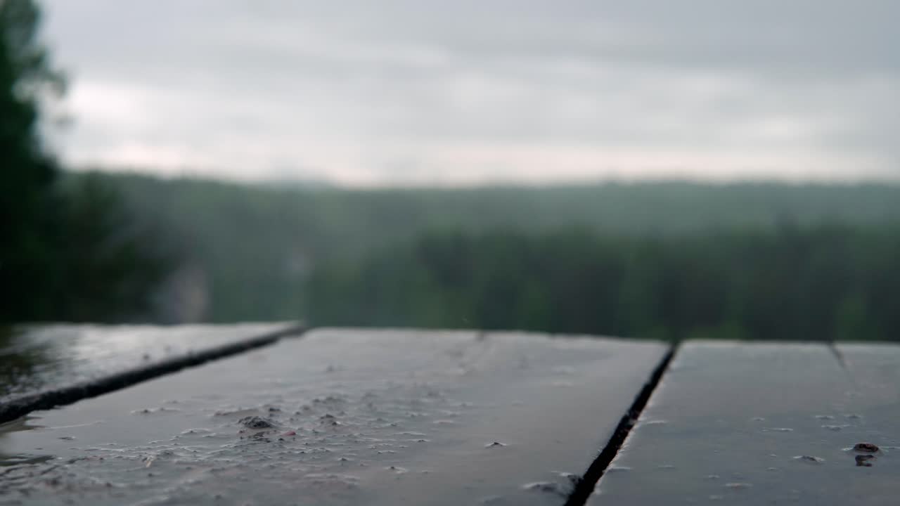 Rainy Day Forest View from a Wooden Table