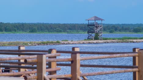 View-of-footbridge-path-and-birdwatching-tower-at-lake-Liepaja-in-sunny-summer-day-with-scenic-cumulus-clouds,-medium-shot