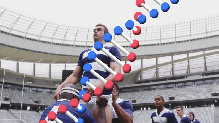 Animazione di un filamento di DNA su giocatori di rugby maschi allo stadio