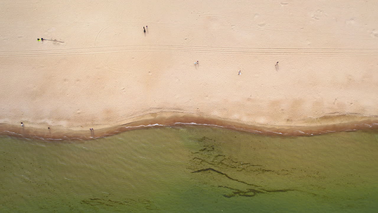 Aerial top-down view of a serene beach, with scattered visitors along the shoreline and the clear distinction between sandy beach and the water's edge