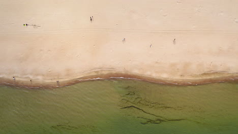 Aerial-top-down-view-of-a-serene-beach,-with-scattered-visitors-along-the-shoreline-and-the-clear-distinction-between-sandy-beach-and-the-water's-edge