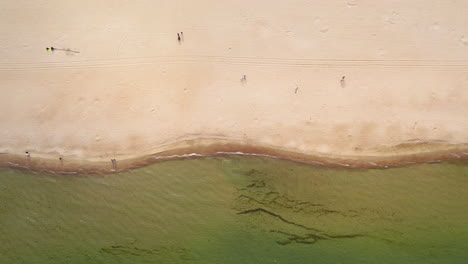 Vista-Aérea-De-Arriba-Hacia-Abajo-De-Una-Playa-Serena,-Con-Visitantes-Dispersos-A-Lo-Largo-De-La-Costa-Y-La-Clara-Distinción-Entre-La-Playa-De-Arena-Y-La-Orilla-Del-Agua.