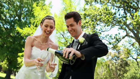 newlyweds drinking champagne in the countryside