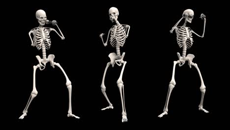 skeletons rap loop