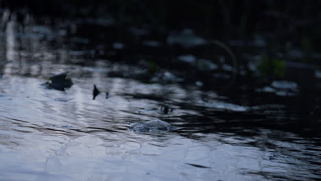 Seewasser-Spiegelt-Bewölkten-Abendhimmel-Wider.-Gerippte-Oberfläche,-Dunkler-Teich-Mit-Algen.