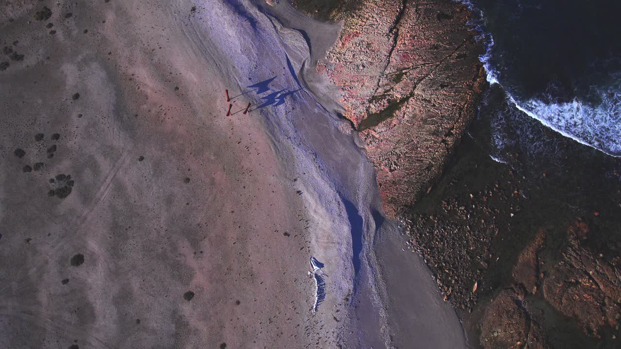 super dolly de tiro de la playa mostrando misterios y un esqueleto de ballena juntos son y inspiración en bahia bustamante