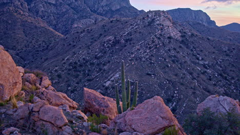 drone shot flying backwards to reveal saguaro cacti desert mountain landscape