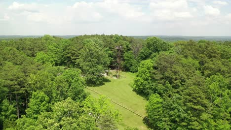 Aussichtsturm-Der-Forstlandschaft-In-Der-Fernsicht-Aus-Der-Luft